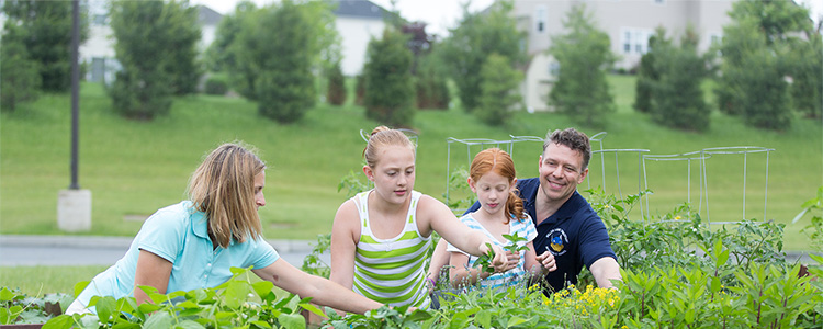 Family and Community Partnerships