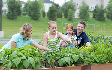 Family and Community Partnerships